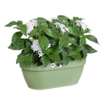 vibia campana wall basket 35cm pistache green